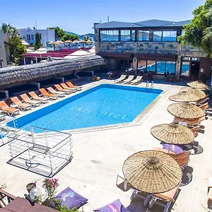 book here